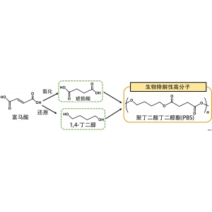 大阪公立大學(xué)利用生物催化劑從二氧化碳中成功合成塑料原料