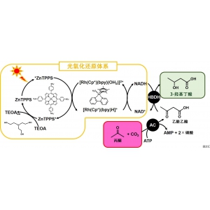 大阪公立大學(xué)通過太陽光和二氧化碳合成生物分解性塑料原料，收率約80%