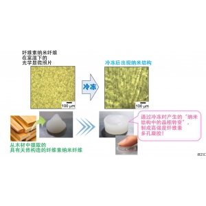 日本原子能研究開發(fā)機(jī)構(gòu)冷凍纖維素制成多孔凝膠材料，實(shí)現(xiàn)高強(qiáng)度
