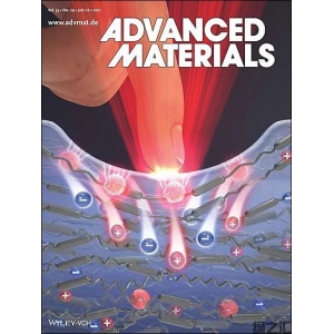 解鎖大自然的百寶箱—Advanced Materials出版生物聚合物?？?></div>
								</a></li>
														<li id=