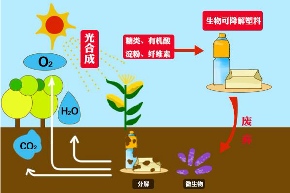 禁塑令之下，“可降解”迎來聚光燈(圖3)