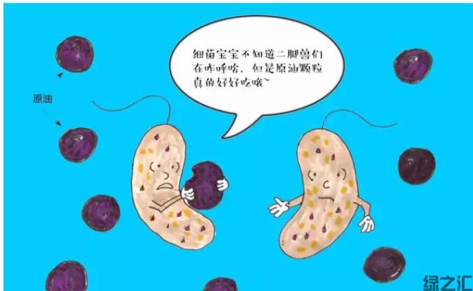 可實(shí)現(xiàn)對(duì)氯代物完全解毒的厭氧降解菌劑(圖1)