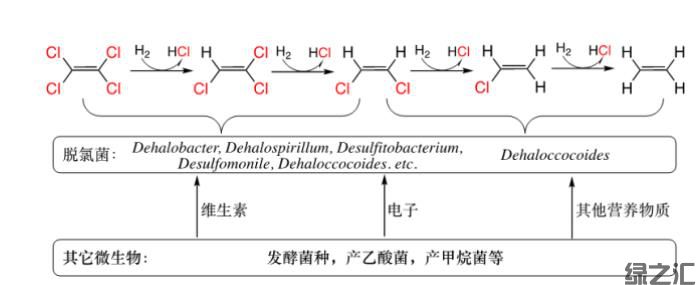 可實(shí)現(xiàn)對(duì)氯代物完全解毒的厭氧降解菌劑(圖2) 可實(shí)現(xiàn)對(duì)氯代物完全解毒的厭氧降解菌劑(圖2)