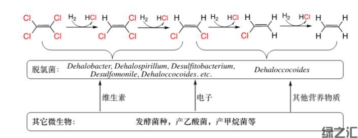 可實(shí)現(xiàn)對(duì)氯代物完全解毒的厭氧降解菌劑(圖3) 可實(shí)現(xiàn)對(duì)氯代物完全解毒的厭氧降解菌劑(圖3)